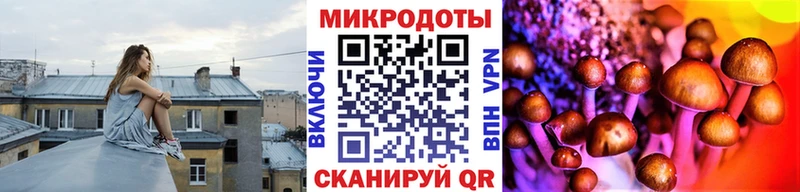 купить  сайты  Ртищево  Псилоцибиновые грибы мухоморы 